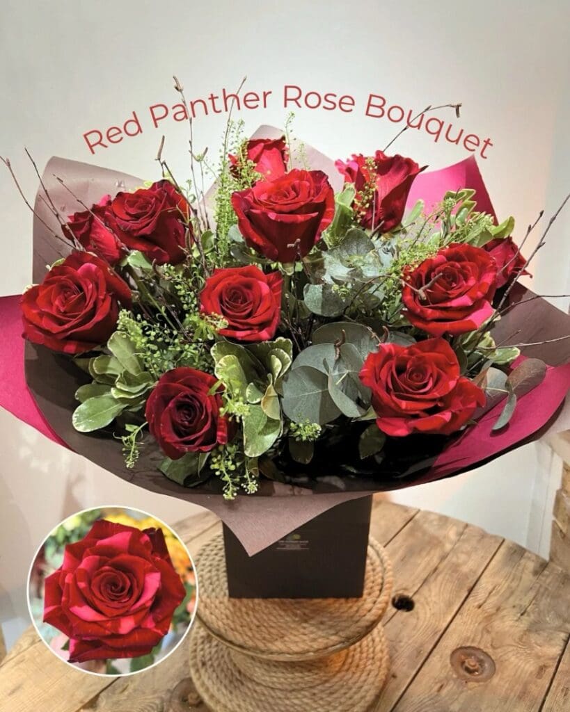 12 Red Panther Roses